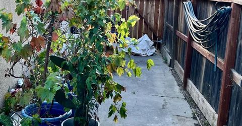 6312 Dundee Dr, North Highlands, CA 95660 Photo