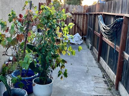 6312 Dundee Dr, North Highlands, CA 95660 Photo