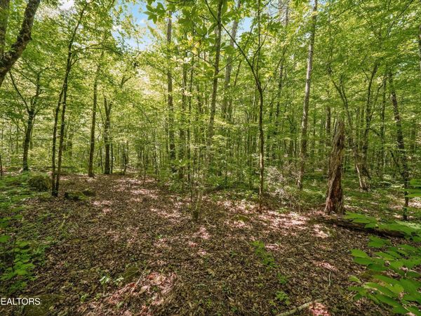 1322 E Millers Cove Rd, Walland, TN 37886