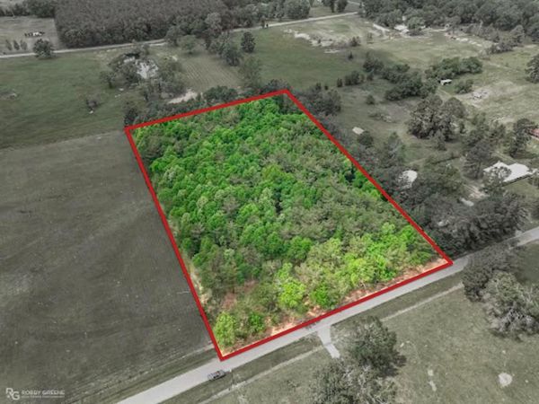 0 Palomino Drive , Grand Cane, LA 71032