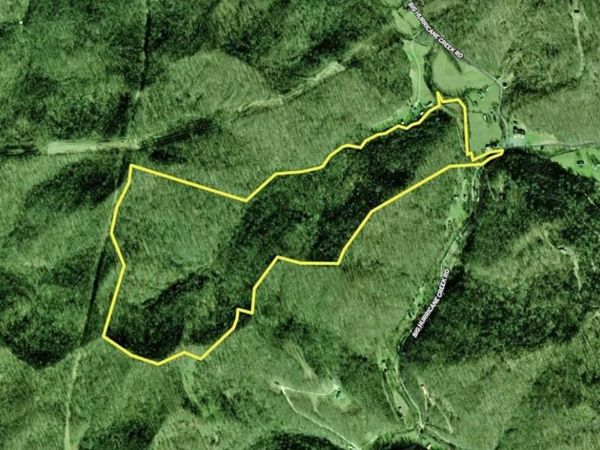 3480 Big Hurricane Creek Road, Fort Gay, WV 25514