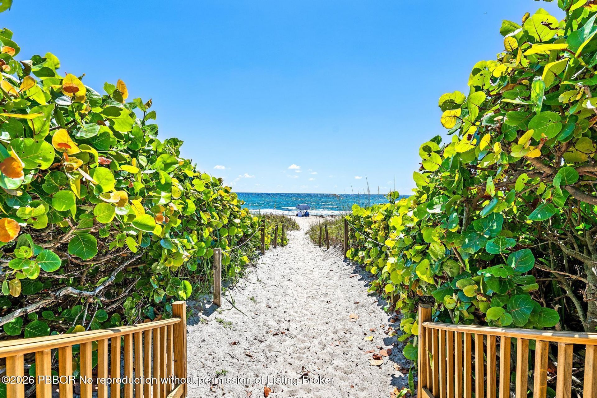 2773 S Ocean Boulevard, Unit 209, Palm Beach, FL 33480 Photo