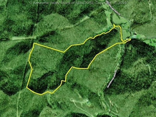 3480 Big Hurricane Creek Road, Fort Gay, WV 25514