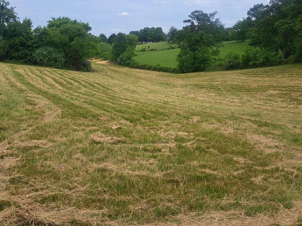 9999 McGill Wyan Road, London, KY 40744