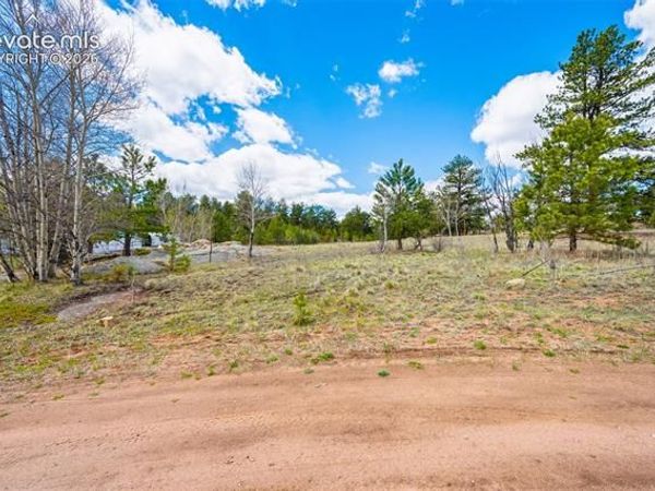 121 Bridle Lane, Florissant, CO 80816