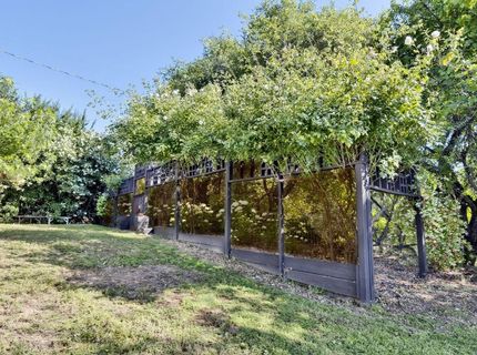 8900 Center St, Mokelumne Hill, CA 95245 Photo