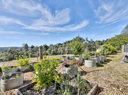 8900 Center St, Mokelumne Hill, CA 95245 Photo