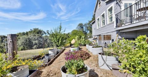 8900 Center St, Mokelumne Hill, CA 95245 Photo