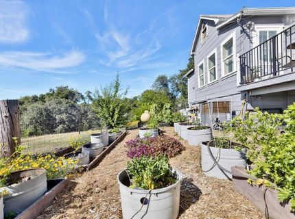 8900 Center St, Mokelumne Hill, CA 95245 Photo