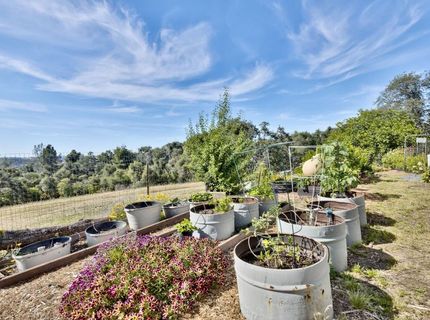 8900 Center St, Mokelumne Hill, CA 95245 Photo