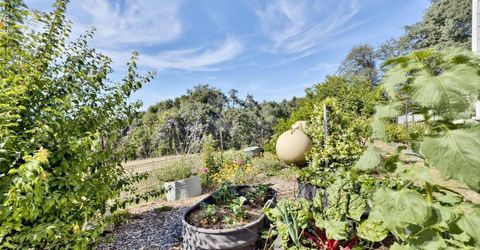 8900 Center St, Mokelumne Hill, CA 95245 Photo
