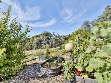 8900 Center St, Mokelumne Hill, CA 95245 Photo