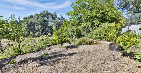 8900 Center St, Mokelumne Hill, CA 95245 Photo