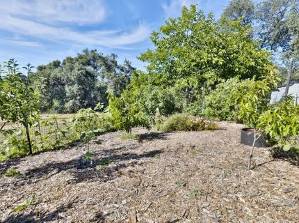 8900 Center St, Mokelumne Hill, CA 95245 Photo