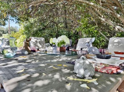 8900 Center St, Mokelumne Hill, CA 95245 Photo