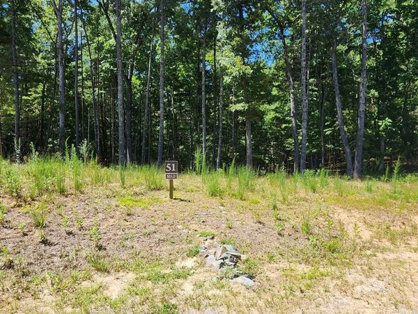 51 Ridge Drive, Morganton, GA 30560