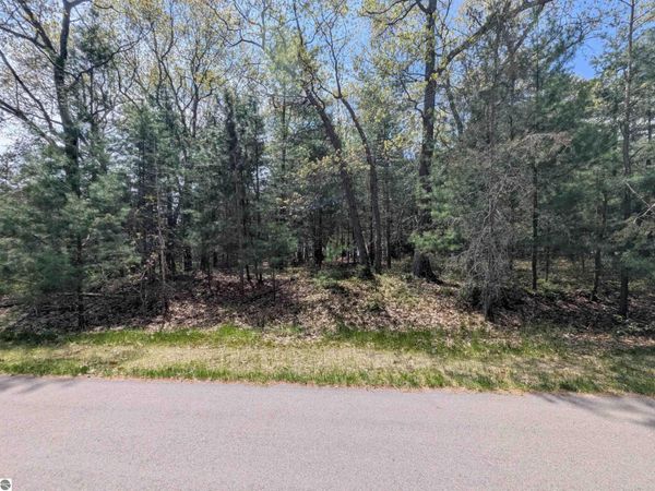 Golfview Court, Au Gres, MI 48703