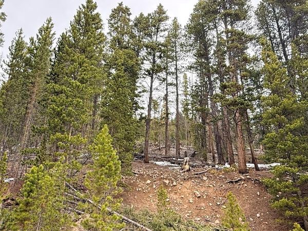 LOT 406 Glory Hole Road, Idaho Springs, CO 80452
