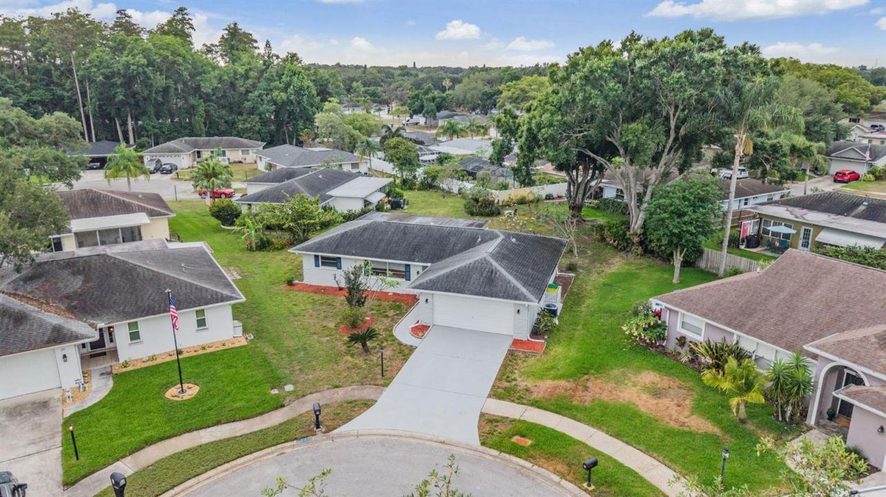 20 Shell Circle , Palm Harbor, FL 34684 Photo