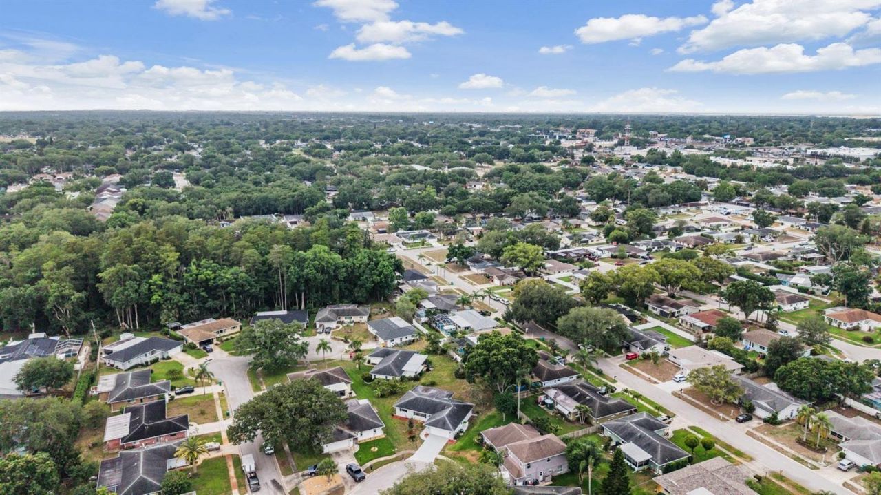 20 Shell Circle , Palm Harbor, FL 34684 Photo