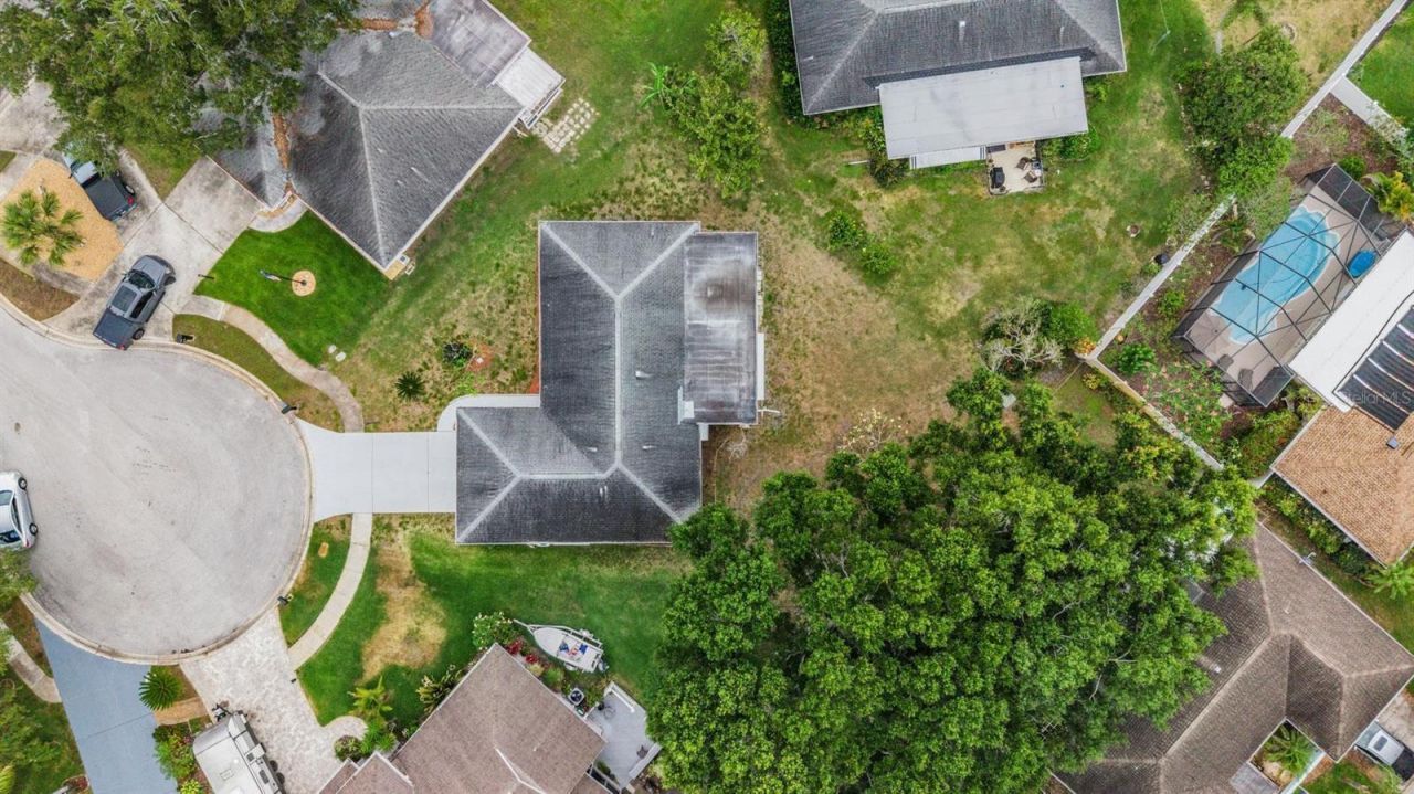 20 Shell Circle , Palm Harbor, FL 34684 Photo