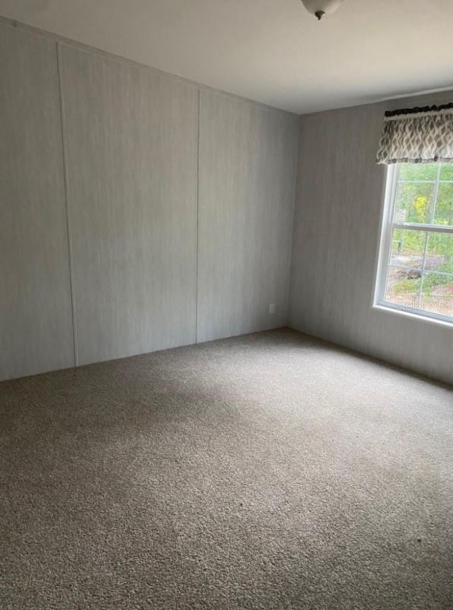 36064 Butternut Drive, Webster, FL 33597 Photo