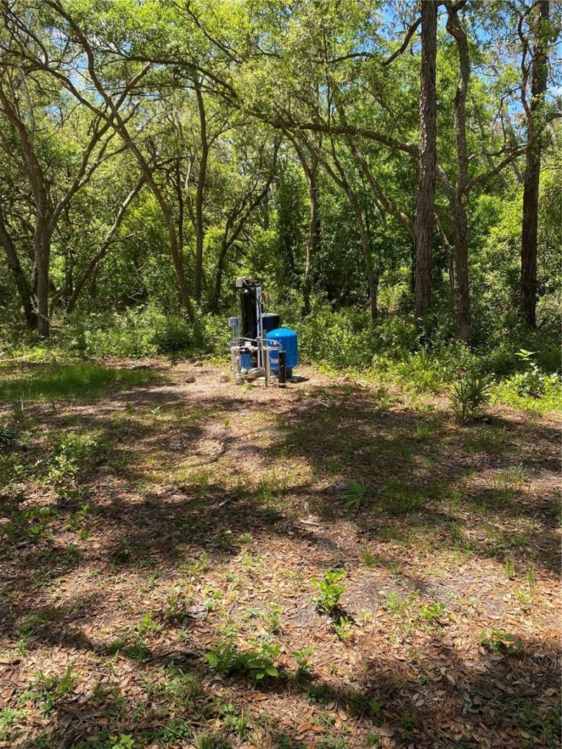 36064 Butternut Drive, Webster, FL 33597 Photo