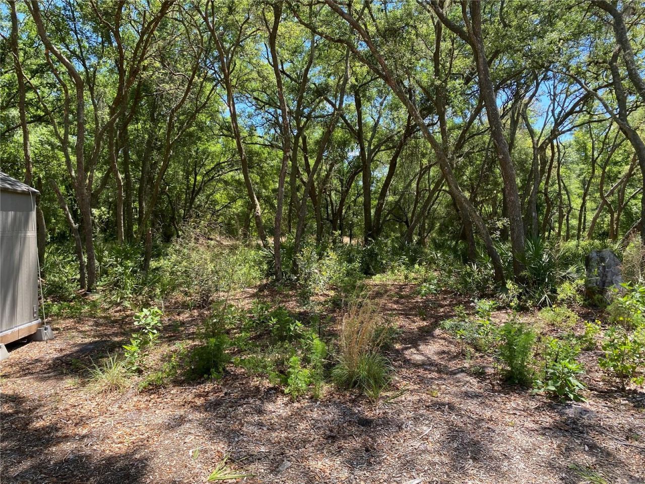 36064 Butternut Drive, Webster, FL 33597 Photo