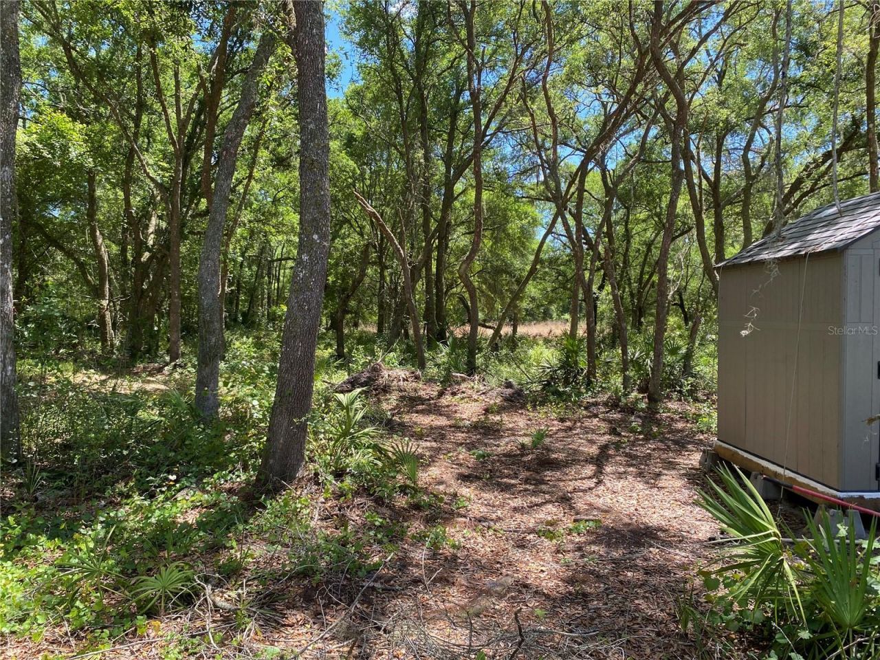 36064 Butternut Drive, Webster, FL 33597 Photo