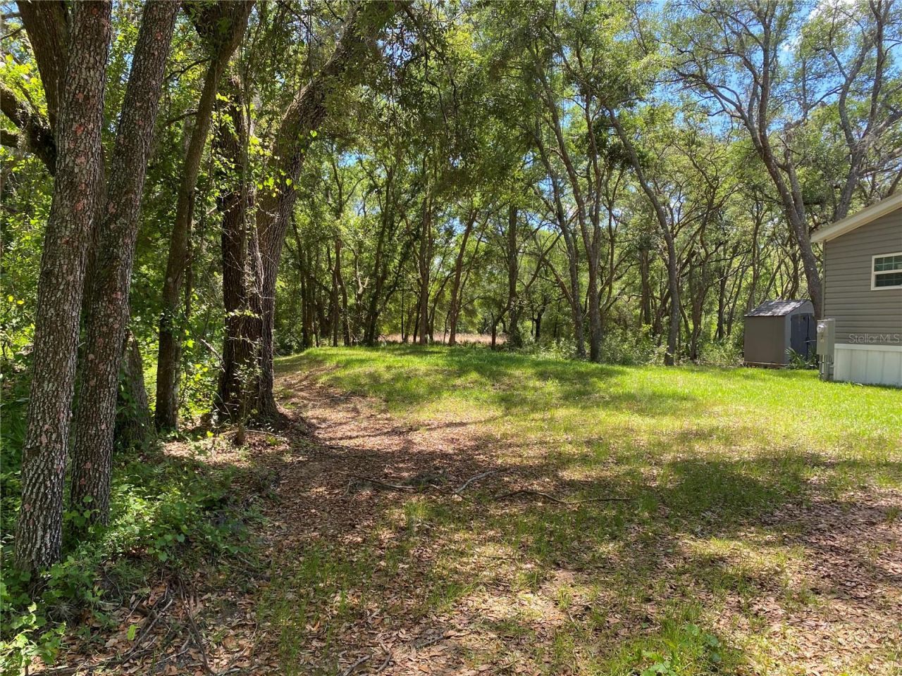 36064 Butternut Drive, Webster, FL 33597 Photo