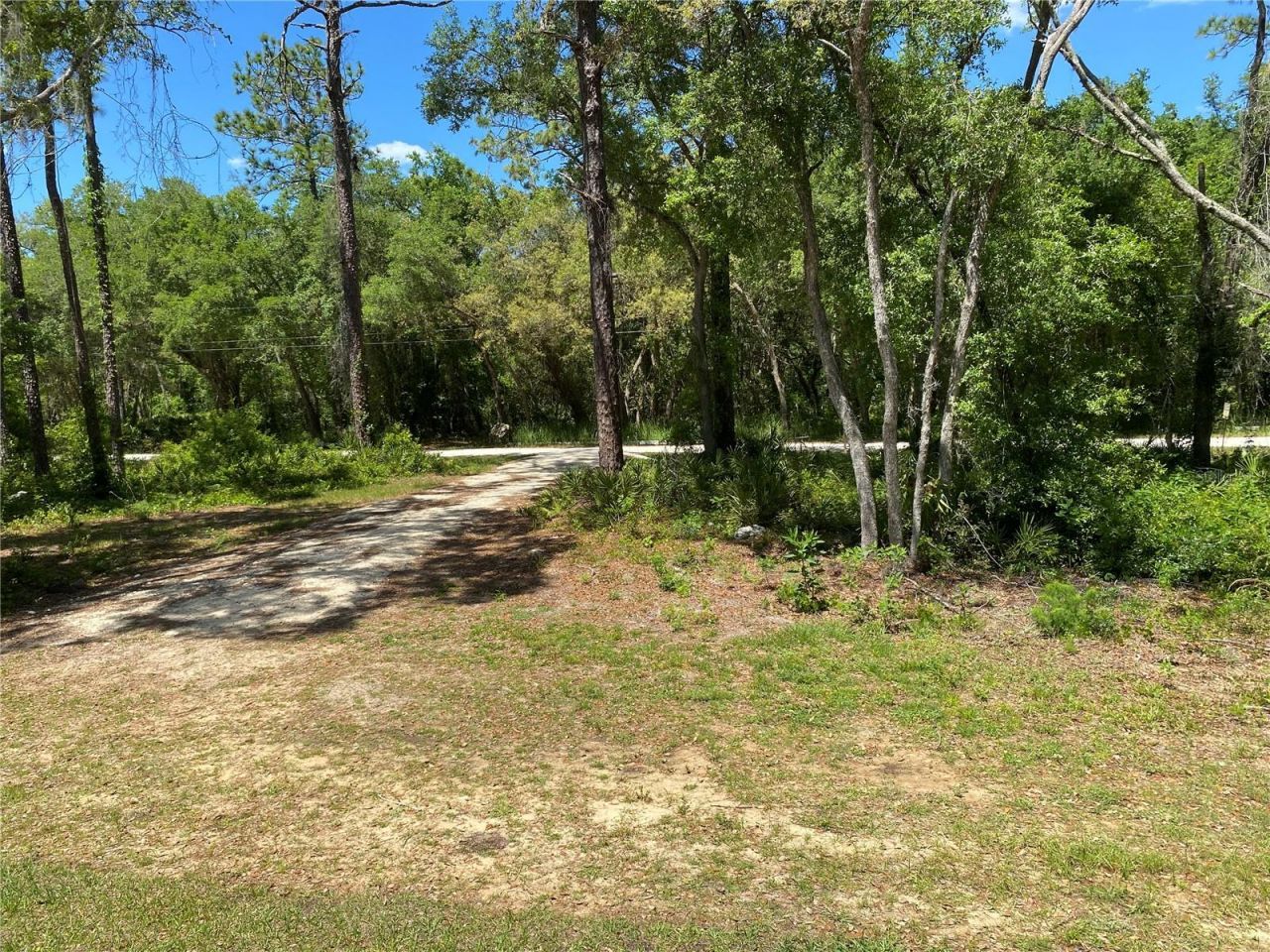 36064 Butternut Drive, Webster, FL 33597 Photo