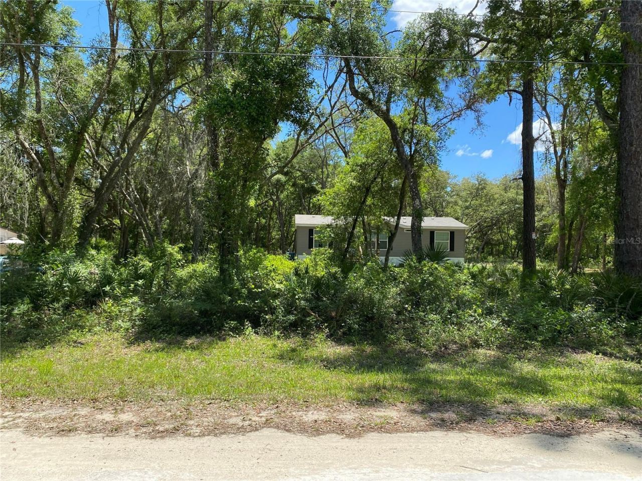 36064 Butternut Drive, Webster, FL 33597 Photo