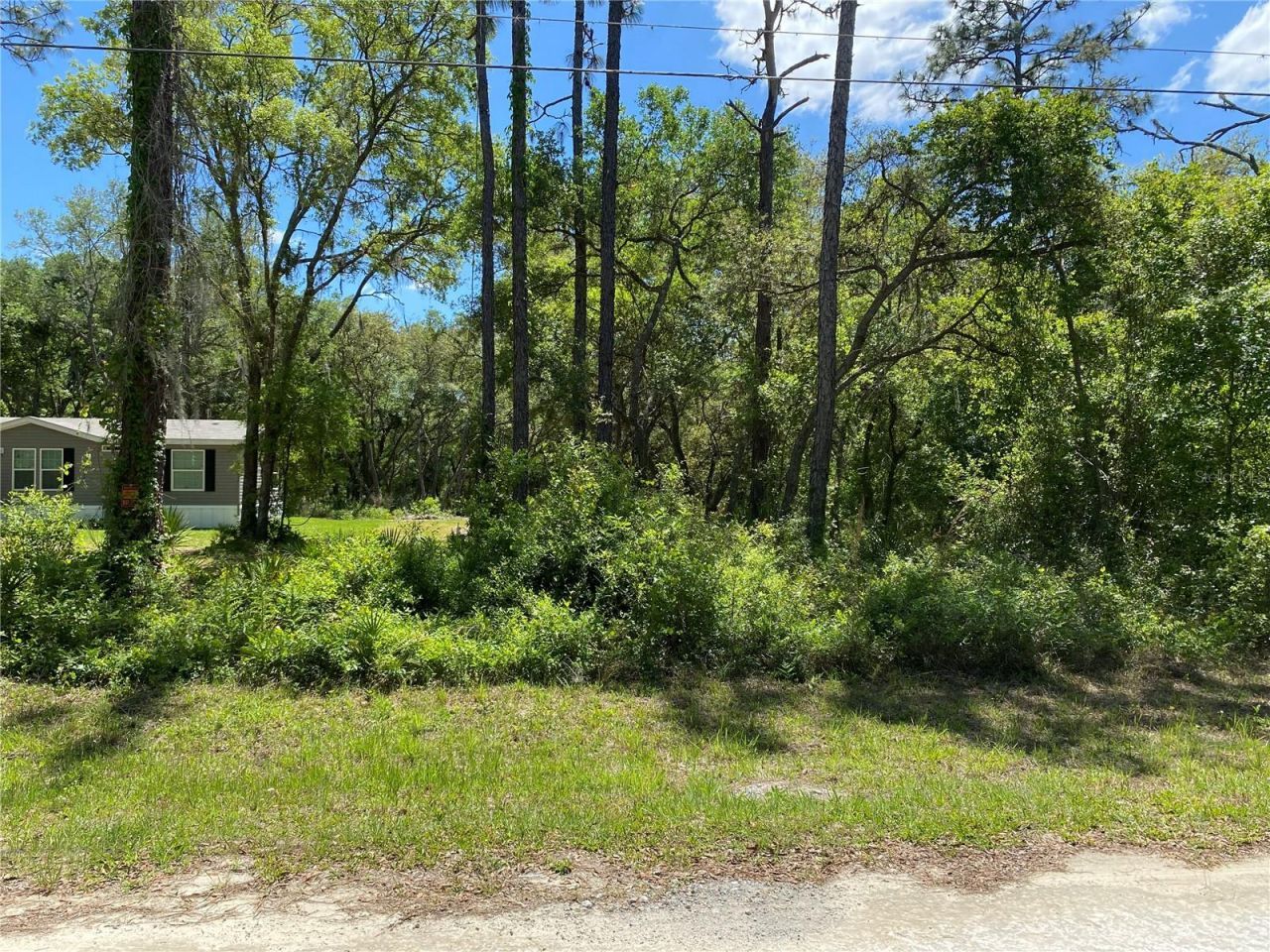 36064 Butternut Drive, Webster, FL 33597 Photo