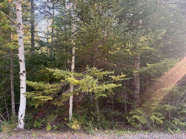 L 202-203 Sunaqua Drive, Presque Isle, MI 49777