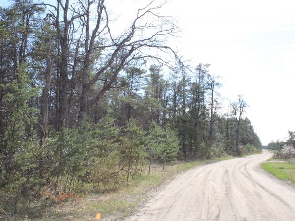 4489 Pine Road, Lewiston, MI 49756