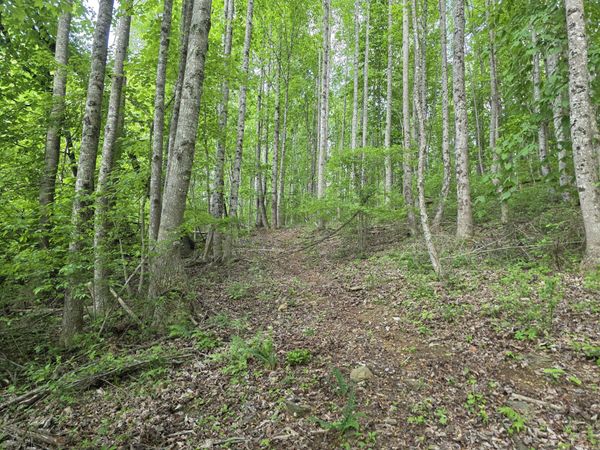 TBD Bent Nail RD, Hillsville, VA 24343