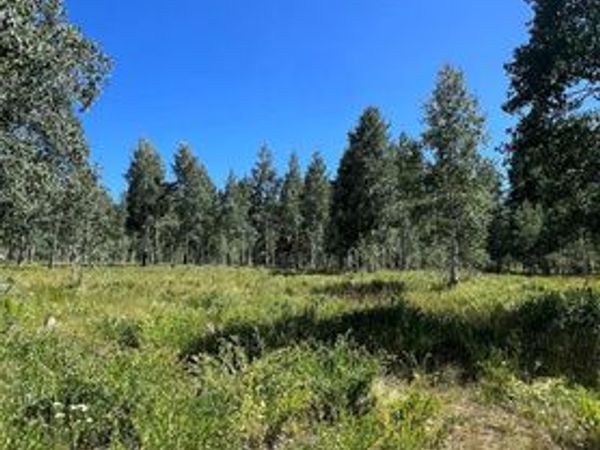 5 ADAMS AVE , Unit 5, Cedar City, UT 84720