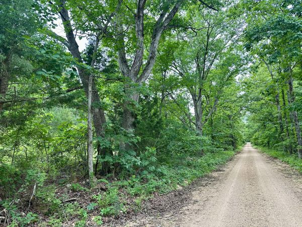 000 Carter 242 , Grandin, MO 63943