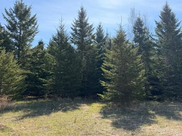 TBD 66th Avenue NE, Remer, MN 56672