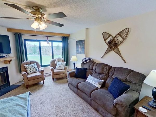 2310 Silver Creek, Snowshoe, WV 26209