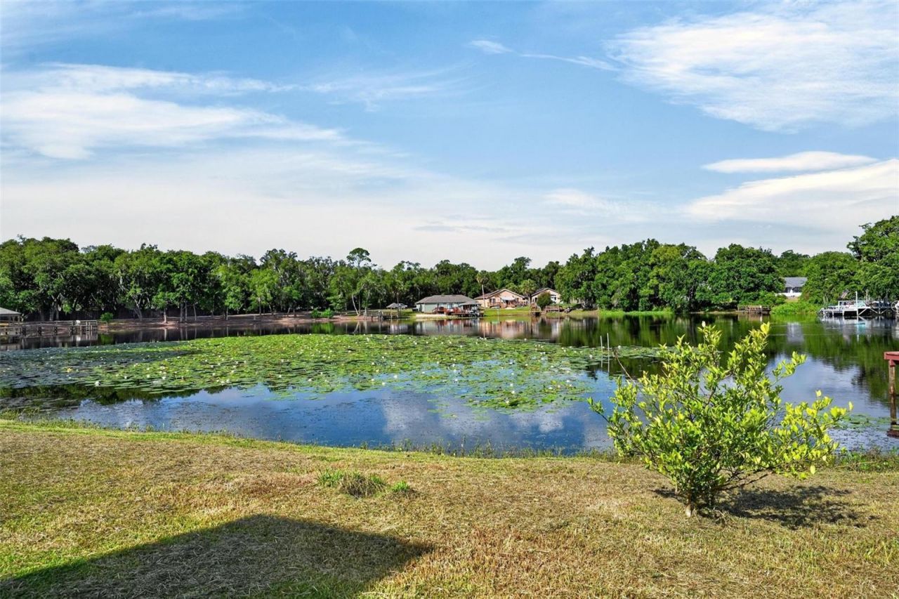 710 Twin Oaks Lane , Eustis, FL 32726 Photo