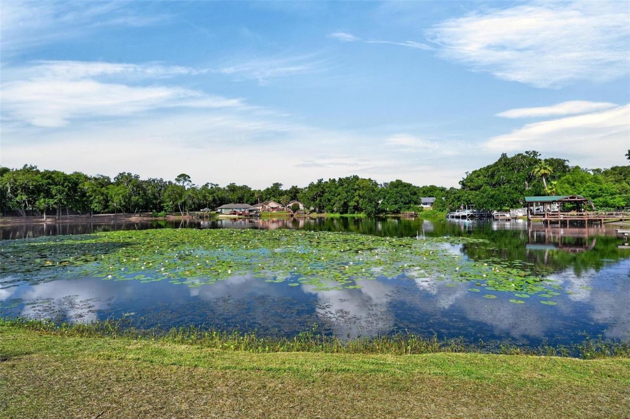 710 Twin Oaks Lane , Eustis, FL 32726 Photo
