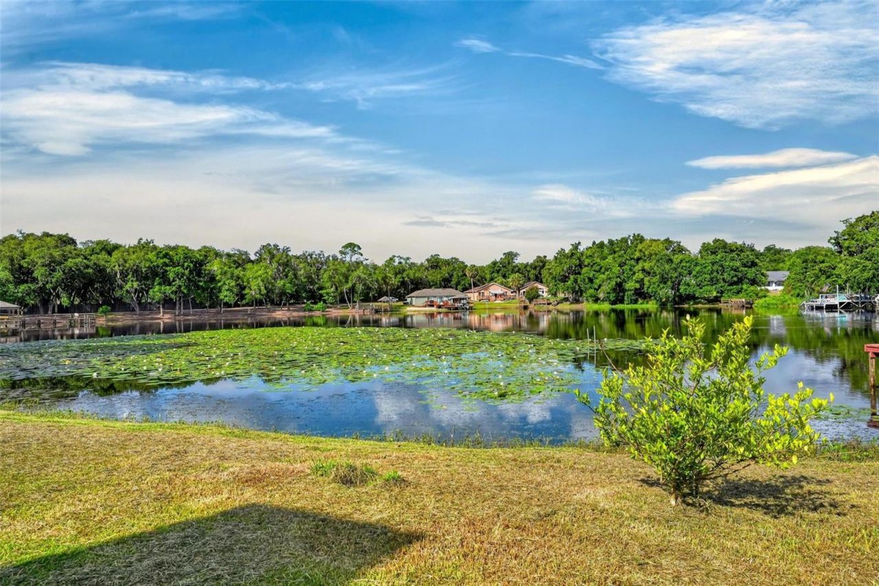 710 Twin Oaks Lane , Eustis, FL 32726 Photo