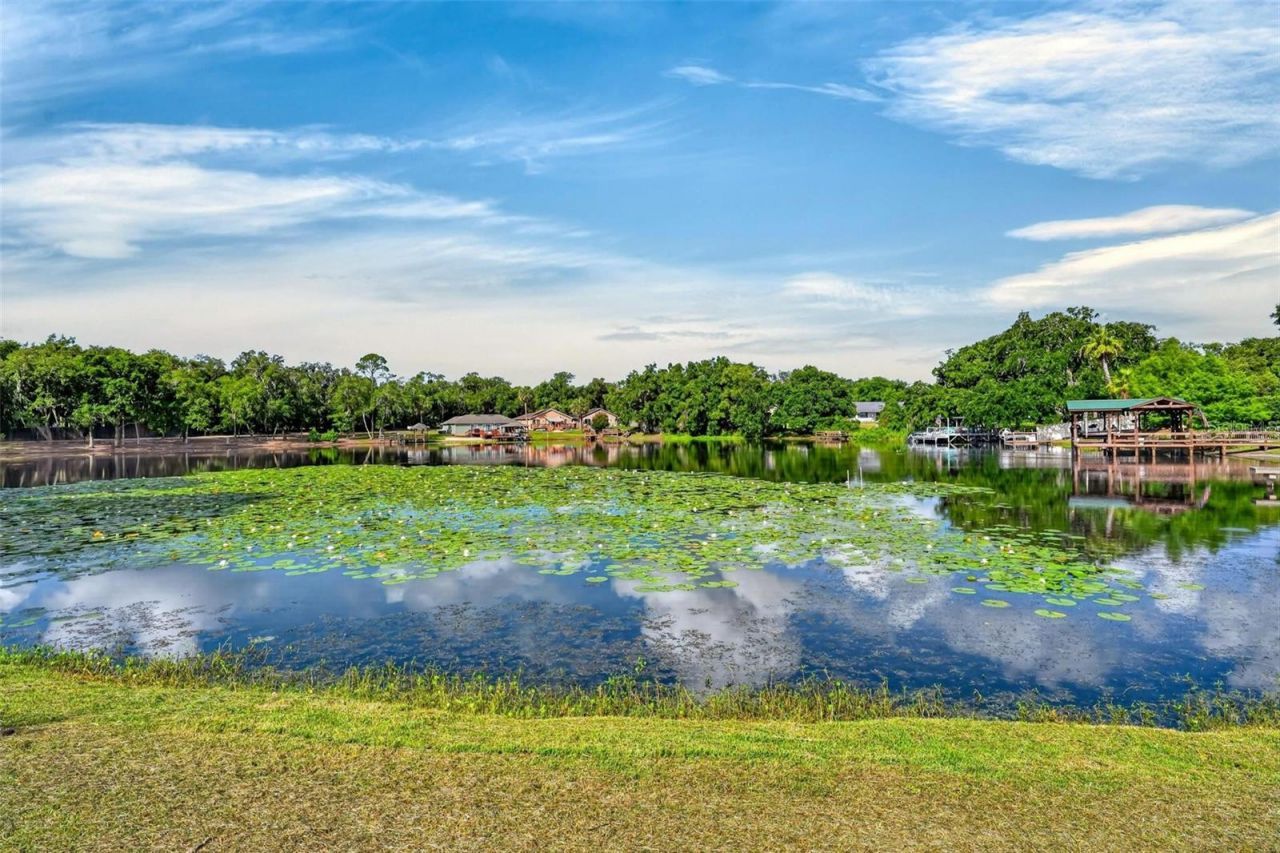 710 Twin Oaks Lane , Eustis, FL 32726 Photo