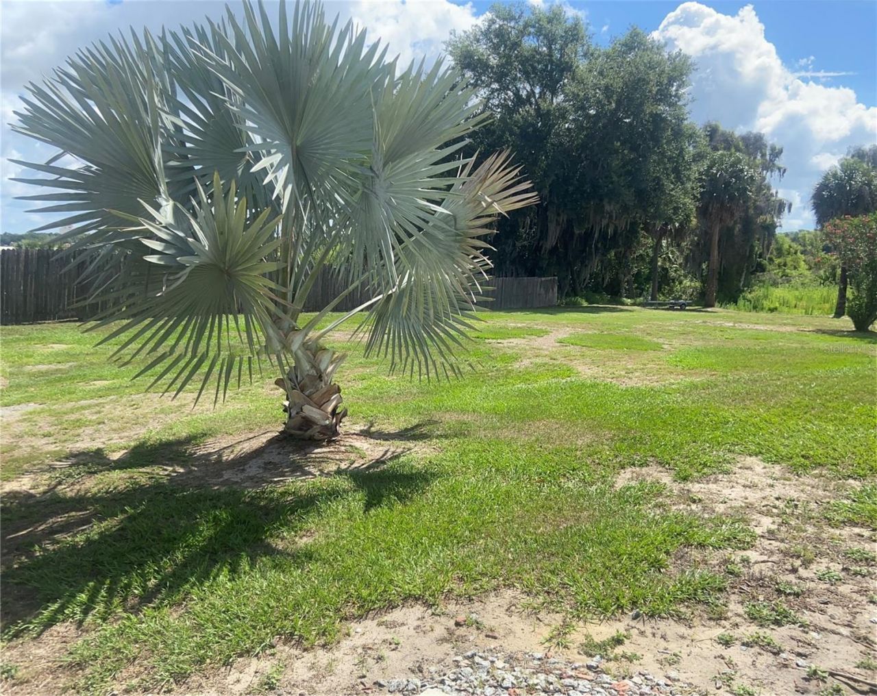 91 Woodland Drive , Haines City, FL 33844 Photo