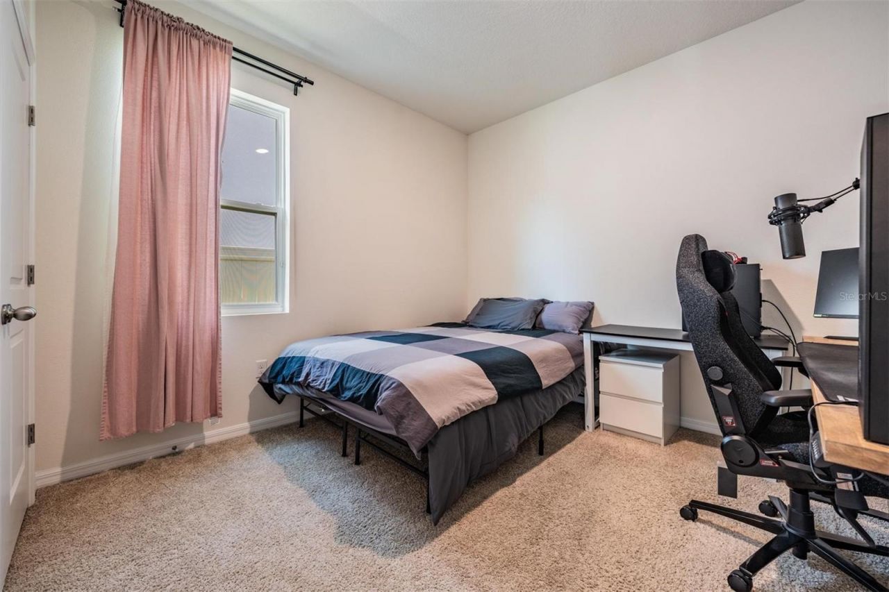 16619 Goose Ribbon Place , Wimauma, FL 33598 Photo