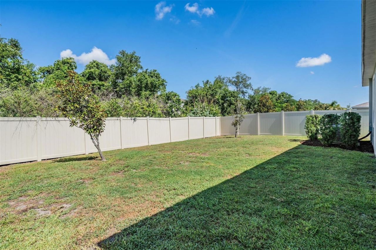 16619 Goose Ribbon Place , Wimauma, FL 33598 Photo