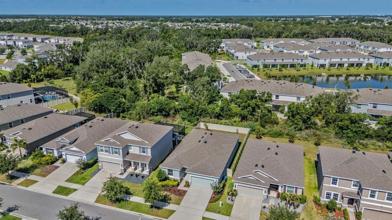 16619 Goose Ribbon Place , Wimauma, FL 33598 Photo