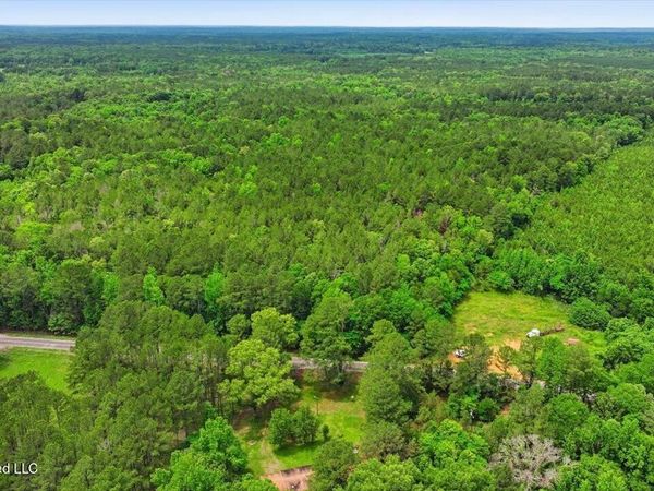 Hwy 43 Road, Camden, MS 39045