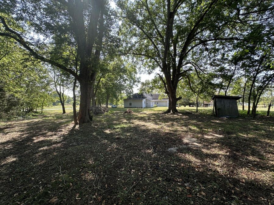 Property Image 46